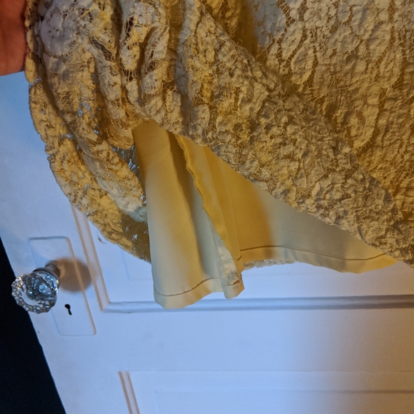 Wendy Katlan Light Yellow Lace Dress - Picture 4 of 5